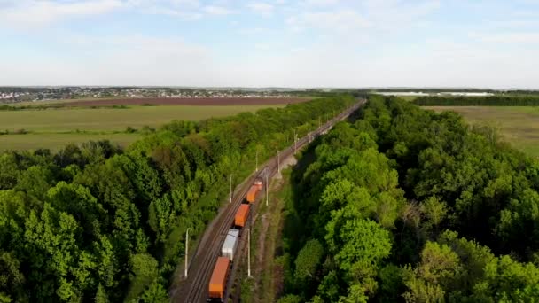 Voo aéreo para o trem de carga que entrega mercadorias. Tomado por drone — Vídeo de Stock