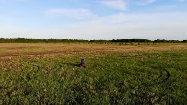 O tiroteio aéreo de um tipo está montado num ATV no campo verde. Tomado por drone — Vídeo de Stock