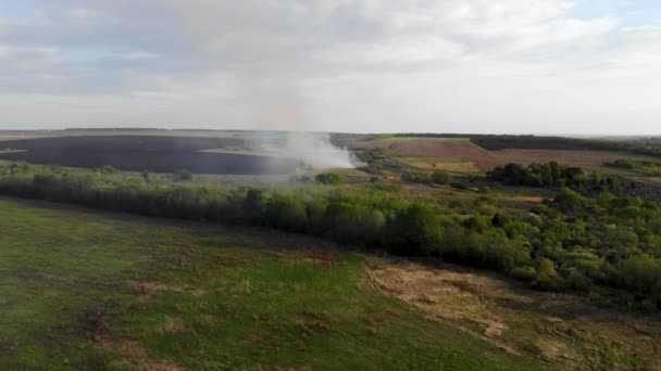 Légi repülés felett a mező, amely fokozatosan tele van füsttel. Elrabolta egy drón. — Stock videók