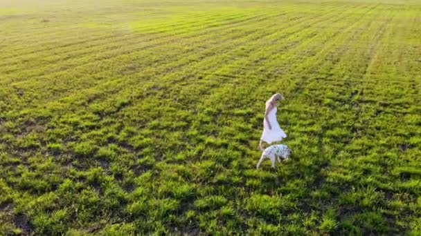 Hermosa chica pasea con su perro de raza dálmata. Tomado por dron al atardecer — Vídeos de Stock