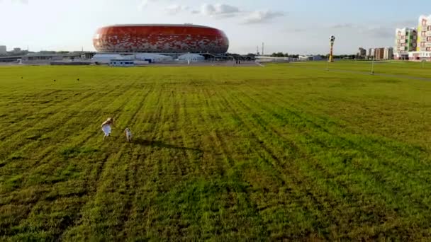 Hermosa chica corre y juega con su perro dálmata. Tomado por dron al atardecer — Vídeo de stock