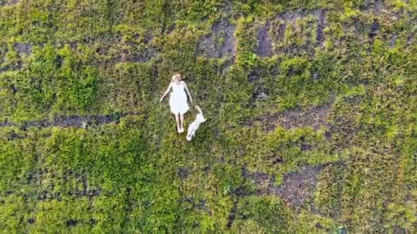 Uma menina bonita jaz na grama com seu cão dálmata. Tomado por drone — Vídeo de Stock