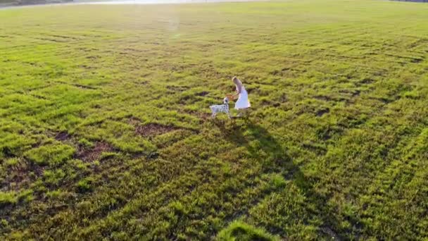 Chica en un vestido blanco juega y entrena a su perro dálmata. Tomado por dron — Vídeo de stock