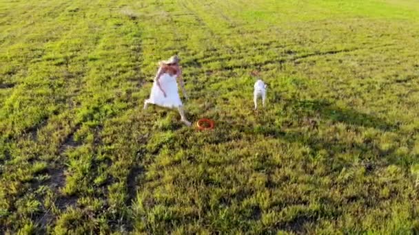 Mooi meisje rent en speelt met haar Dalmatische hond. Ingenomen door drone bij zonsondergang — Stockvideo