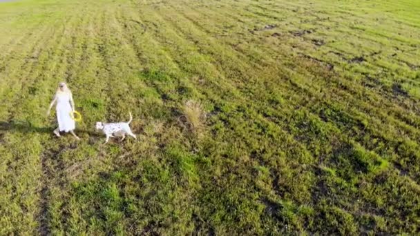 Schönes Mädchen geht mit ihrem Hund dalmatinischer Rasse spazieren. per Drohne bei Sonnenuntergang aufgenommen — Stockvideo