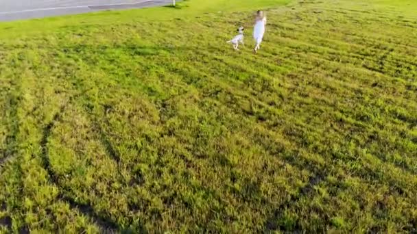 Mooi meisje loopt en speelt met haar hond van Dalmatische ras. Genomen door een drone — Stockvideo