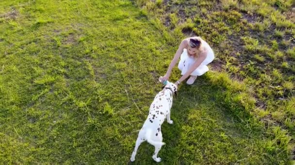 Schöne Mädchen in einem weißen Kleid tränkt ihren Dalmatiner-Hund. Per Drohne aufgenommen — Stockvideo