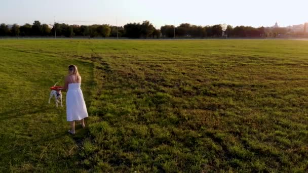Beyaz elbiseli bir kız Dalmaçyalı köpeğiyle oynar ve onu eğitir. İnsansız hava aracı tarafından çekiliyor. — Stok video