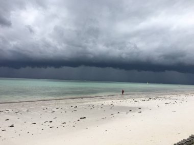   Okyanustaki kara bulutlar