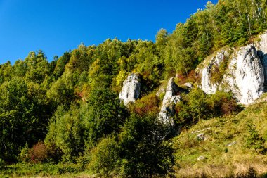 Krakow yakınlarındaki Kobylaska Vadisi