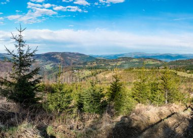 Beskids Dağları patikadan görünüyor. 