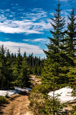 Ormanda yol, Polonya 'da Beskids dağları