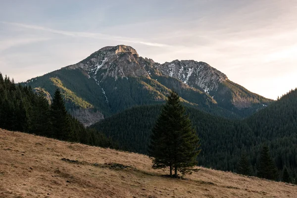 Sentiero Tra Monti Tatra Paesaggio Montano — Foto Stock