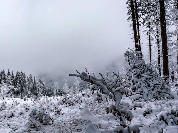 Inverno Nelle Montagne Beskidy — Foto Stock