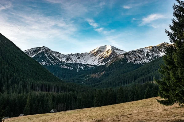 Ein Pfad Der Tatra Gebirgslandschaft — Stockfoto