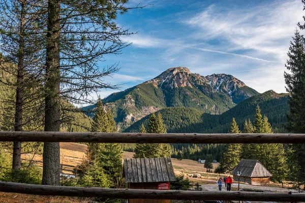 Sentiero Tra Monti Tatra Paesaggio Montano — Foto Stock