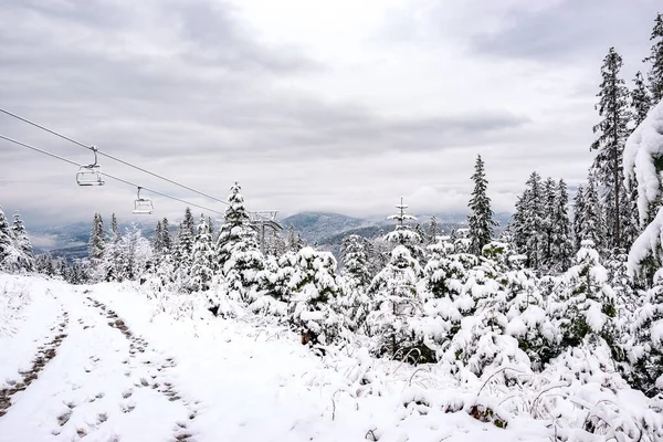 Inverno Sulle Montagne Polacche Montagne Della Slesia Beskid Alberi Coperti — Foto Stock