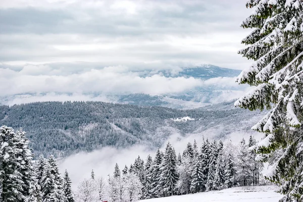 Inverno Sulle Montagne Polacche Montagne Della Slesia Beskid Alberi Coperti — Foto Stock