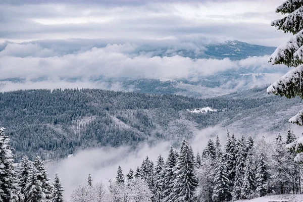 Inverno Sulle Montagne Polacche Montagne Della Slesia Beskid Alberi Coperti — Foto Stock