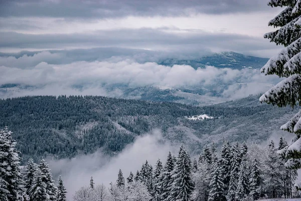 Winter Poolse Bergen Silezische Beskid Bergen Bomen Bedekt Met Sneeuw — Stockfoto