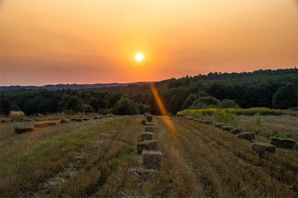 Sunset in a rural area after the harvest. Forest in distance and a lump of hay in the middle. Summer evening.