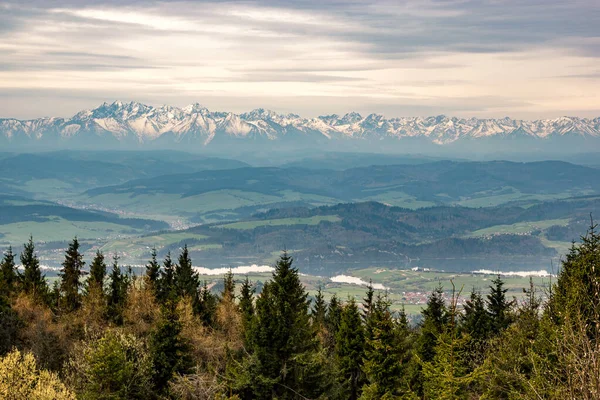 Blick Auf Die Tatra Von Pieniny — Stockfoto