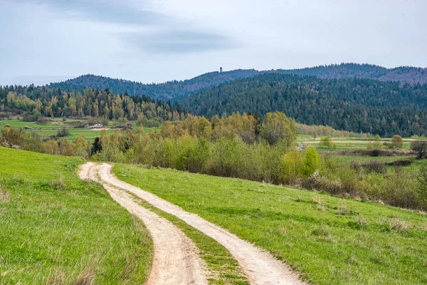 Pfad Wald Schräg Gegenüber Bergen Polen — Stockfoto