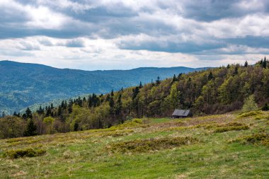 Beskids Dağları patikadan görünüyor. 
