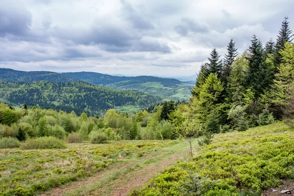 Pfad Wald Schräg Gegenüber Bergen Polen — Stockfoto