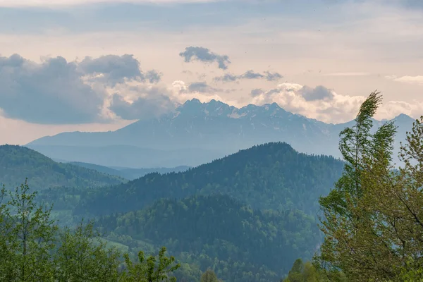 Die Landschaft Der Pieniny Mountains — Stockfoto