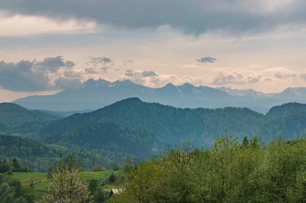 Die Landschaft Der Pieniny Mountains — Stockfoto