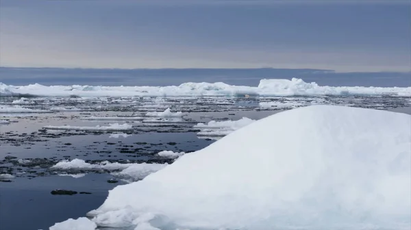 Ijs Het Meer Wilde Natuur Reizen — Stockfoto