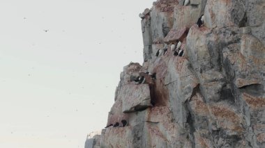 Rusya 'da seyahat. Sibirya dağlarının manzaraları.