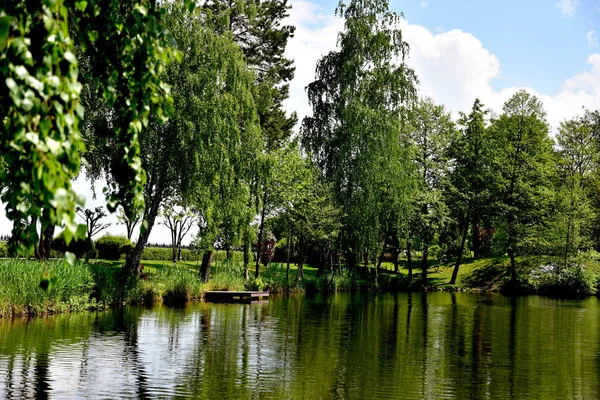 Ландшафтне фото з зображенням озера, яке відображає дерева . — стокове фото