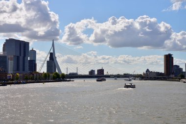 Rotterdam, Hollanda - 2 Eylül 2019: Nieuwe Maas nehri üzerinde Erasmusbrug, diğer adıyla Swan.