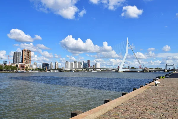 Rotterdam Hollanda Eylül 2019 Nieuwe Maas Nehri Üzerinde Erasmusbrug Diğer — Stok fotoğraf