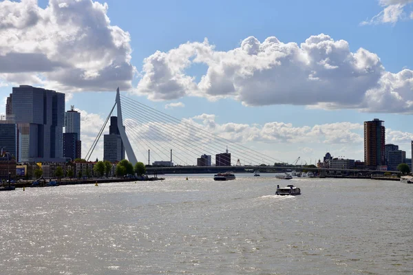 Rotterdam Países Bajos Septiembre 2019 Erasmusbrug También Conocido Como Swan — Foto de Stock