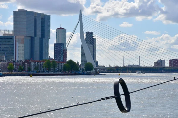 Rotterdam Nederländerna September 2019 Erasmusbrug Även Känd Som Swan Vid — Stockfoto
