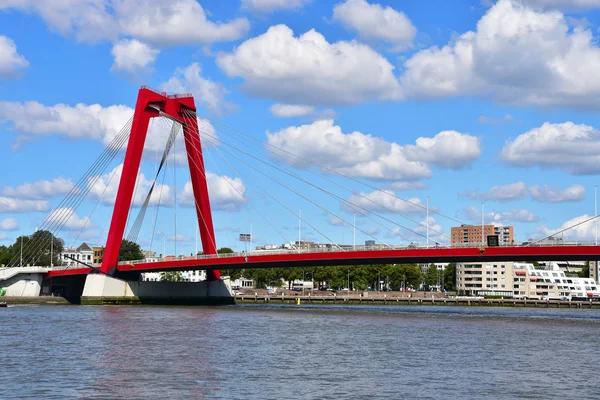 Rotterdam Hollanda Eylül 2019 Nieuwe Maas Nehri Üzerinde Willemsbrug — Stok fotoğraf