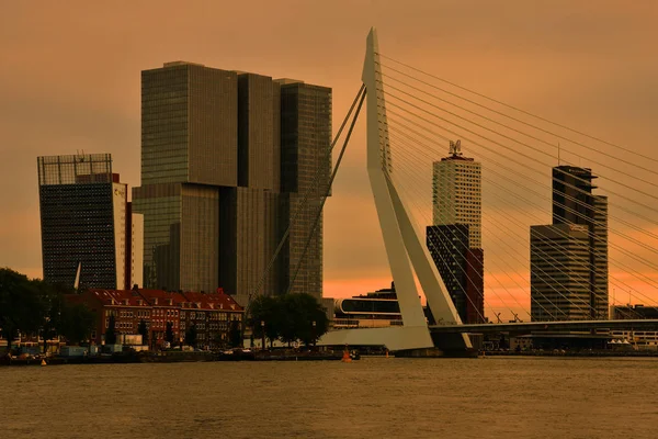 Rotterdam Hollanda Eylül 2019 Erasmusbrug Diğer Adıyla Swan Gün Batımında — Stok fotoğraf