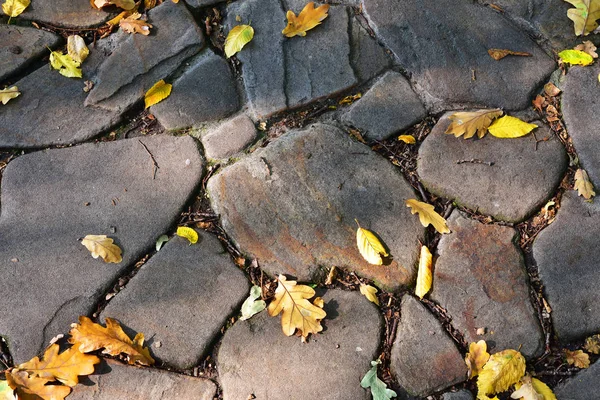 Pasarela Piedra Con Hojas Otoño Luz Natural Textura —  Fotos de Stock