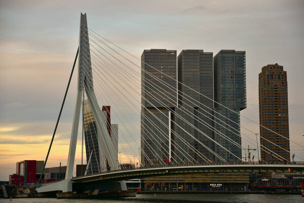 Rotterdam, Netherlands - September 3, 2019: Bridge Erasmusbrug also known as Swan and Rotterdam quay at sunset. Close-up.