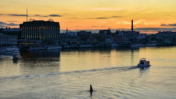 Kyiv Ukrayna Temmuz 2020 Günbatımında Dnipro Nehrinin Sağ Kıyısında Yakın — Stok fotoğraf