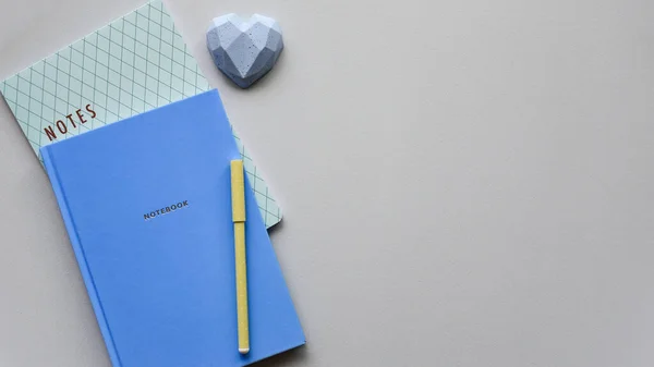 Dos Cuadernos Azules Con Bolígrafo Sobre Fondo Papel Azul Vista — Foto de Stock