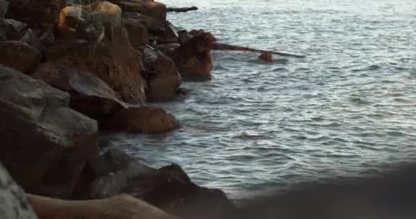 El agua de mar lava grandes piedras en la orilla en la noche de otoño, estado de ánimo tranquilo — Vídeos de Stock