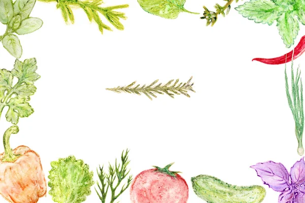 料理用のハーブと緑の境界線 手描きのスペース フレーム — ストック写真