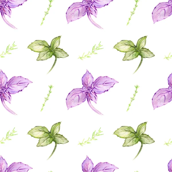 Purple Green Basil Hand Painted Seamless Pattern — Stock Photo, Image