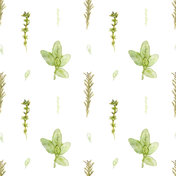 Thyme Sage Rosemary Herbs Hand Painted Seamless Pattern — Stock Photo, Image