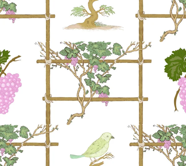 Nahtloses Muster aus Reben, Trauben und Vögeln — Stockvektor