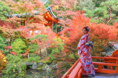 Asya 'lı güzel bir kadın sonbahar mevsiminde Japon bahçesinde sonbahar ağacıyla poz veriyor. Kyoto, Japonya